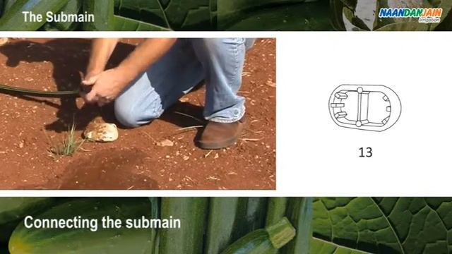 Капельное орошение для дачных участков dripKit смотреть онлайн