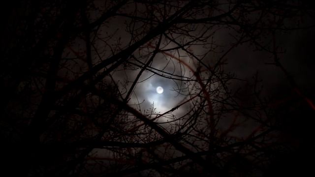 Something is wrong!! смотреть онлайн