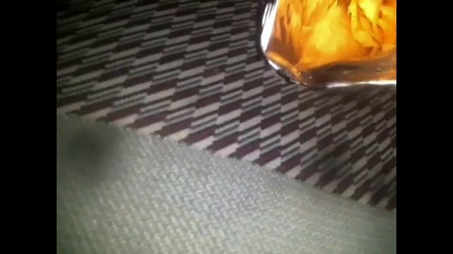 Pro чипсы бекон обзор смотреть онлайн