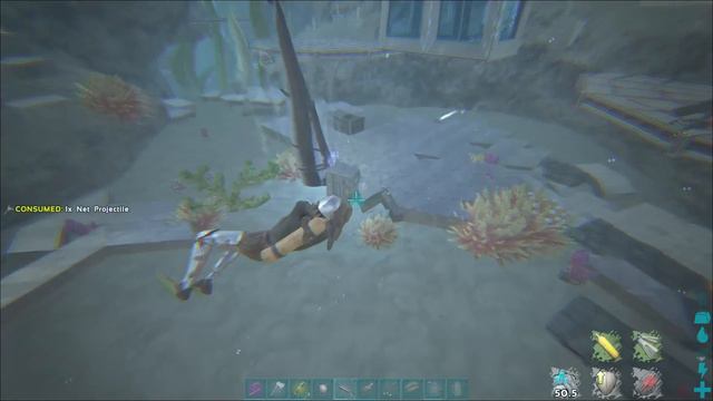 They Never Found Me! How I Got Behind Their Deathwall!! -Small Tribes-ep.20|S.3 |Ark Official PvP смотреть онлайн