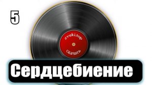 12 вариантов стука Сердца  Звук сердцебиения человека слушать