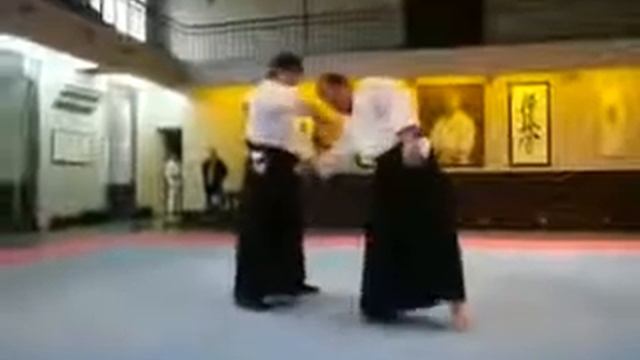 Real aikido Сергей Бородулин Sumiotoshi shomen uchi смотреть онлайн
