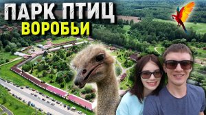 Парк птиц «ВОРОБЬИ» в Калужской области