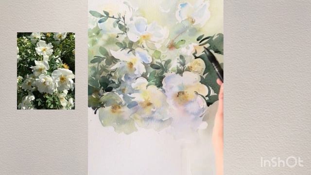 Белый шиповник, акварель.  Марина Ласаева #акварель #watercolor