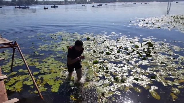 МАСТЕР ШЕФ 6 ЗАГОВОР ЗАКУЛИСЬЕ смотреть онлайн