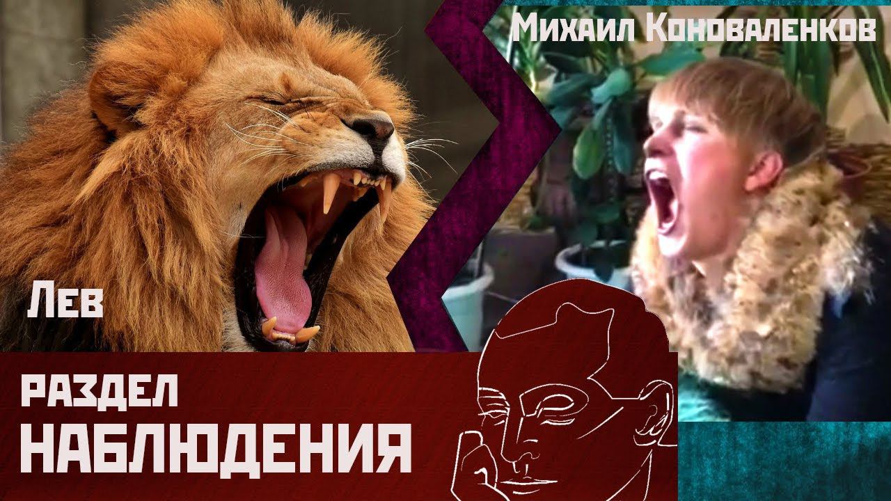 Михаил Коноваленков Лев смотреть онлайн