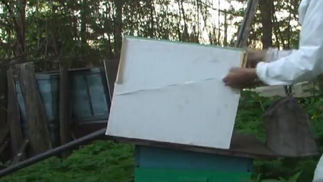 День роя смотреть онлайн