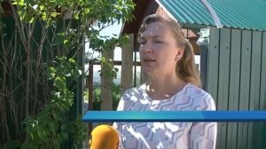 Неплательщикам электроэнергии  в СНТ "Ивушка" отключают электричество