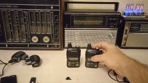 Рации мечта грибника