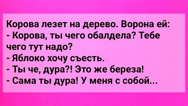 Сборник Веселых Анекдотов Для Настроения! Юмор Смех Хохма Позитив!