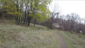 Ново-Горловка. Весна 2020г. Семидорожки, Воробьёвский лес.