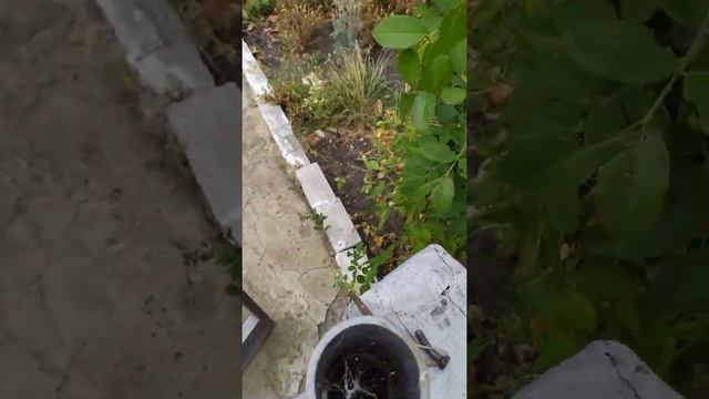 Простая защелка на калитку 2 смотреть онлайн