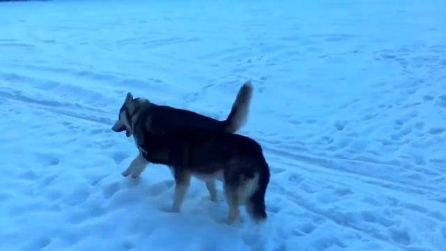 "Невыносимая прелесть бытия. смотреть онлайн