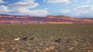 Канье Уэст - гений (ещё и) музыки \ СКИЛЛЗ