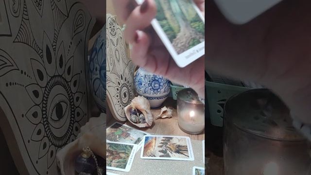 13 апреля 2023 года Карта дня ❤️ Таро предсказание #tarot #таро #предсказание смотреть онлайн