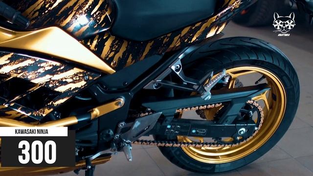 Kawasaki Ninja 300 смотреть онлайн
