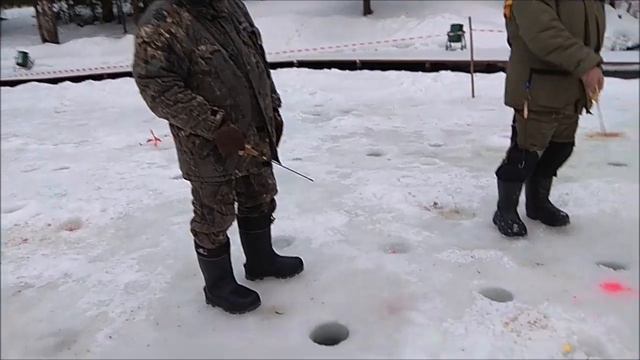 Поимки и сходы форели. Клёвое место, Лосиный остров, спорт-зона. смотреть онлайн