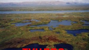 Природа элементы звук