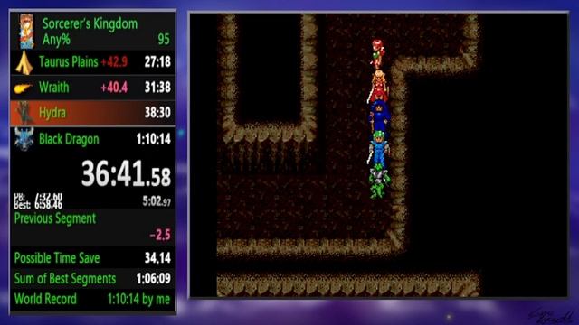 Sorcerer's Kingdom Any% in 1:09:18 смотреть онлайн