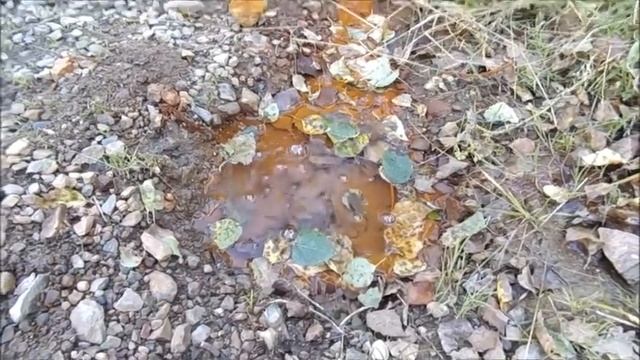 Долина Нарзанов недалеко от Кисловодска смотреть онлайн