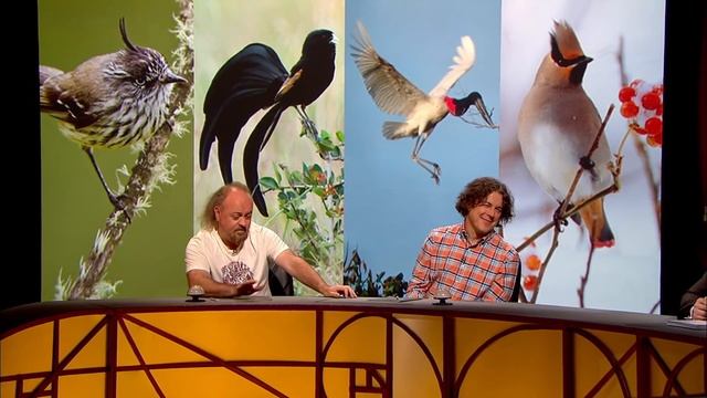 QI | Victoria Coren Mitchell's Best Moments смотреть онлайн