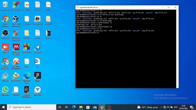 Basic shell commands 2 смотреть онлайн