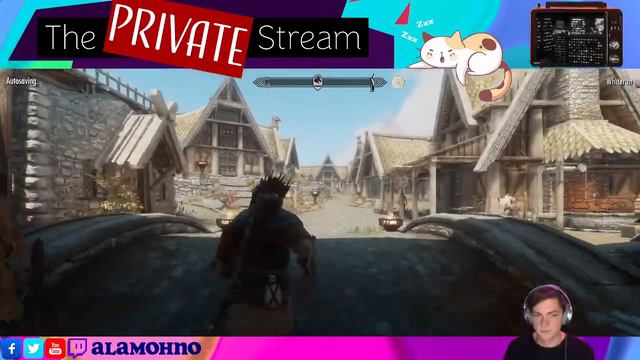 The PRIVATE Stream - ULTRA HD Skyrim смотреть онлайн