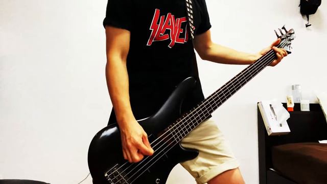 Slipknot - People = Shit Bass Cover смотреть онлайн