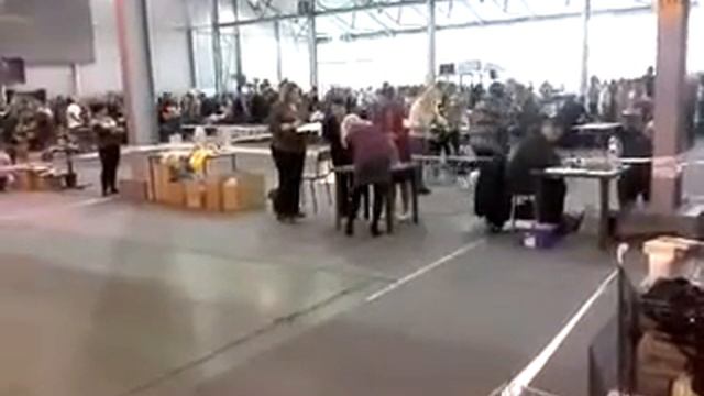 Монопородка ши тцу март 2016 смотреть онлайн