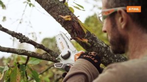 Как использовать аккумуляторный сучкорез STIHL GTA 26