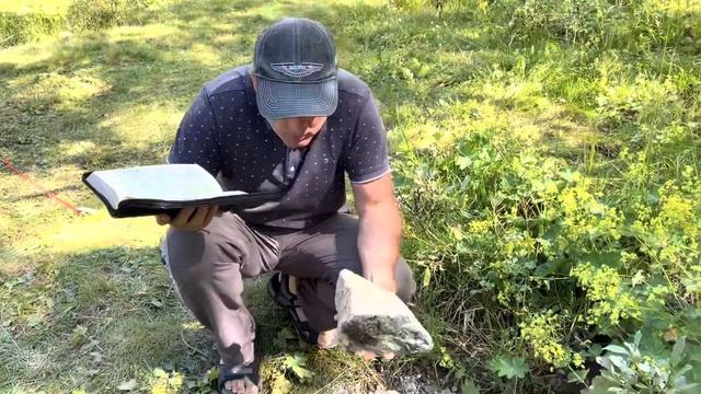 Ценные Уроки ручья и березы