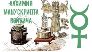 Невероятная Алхимия в Манускрипте Войнича! Почему в Манускрипте Войнича много различных тем?