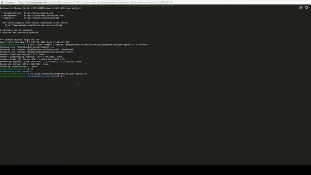 Install Gravity node for the Public Test 1 смотреть онлайн