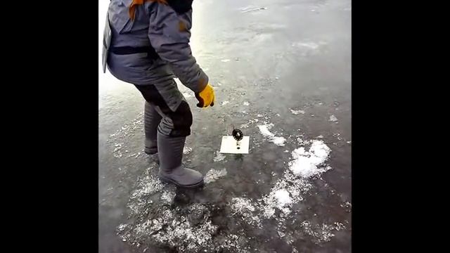 Рыбалка в Великом Новгороде, Тёсово Нетыльский, Рогавка, озеро Тигода, окунь на блесну смотреть онлайн