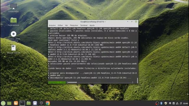 Instalando o OpenJDK(Java Development Kit) e Utilizando o NetBeans. смотреть онлайн
