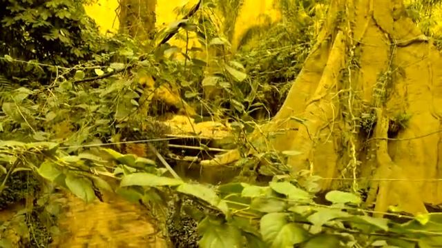 Travel Destination Of İstanbul, İstanbul Akvaryum (Florya)