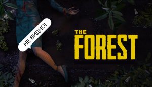 THE FOREST / Геймплей / Первый заход