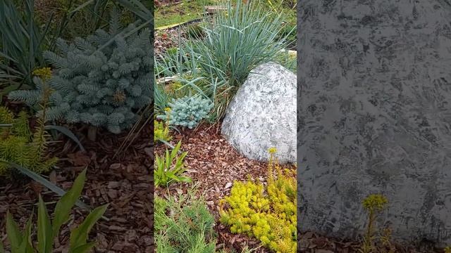 Приподнятая клумба