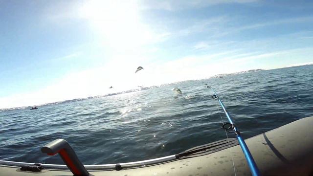 РЫБАЛКА в БАРЕНЦЕВОМ МОРЕ. ВОСТОЧНЫЙ КИЛЬДИН. "The beauty of the Barents sea and a little fishing." смотреть онлайн