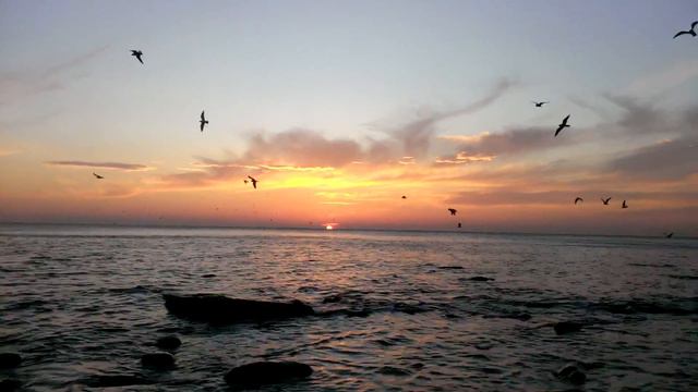 Закат смотреть онлайн