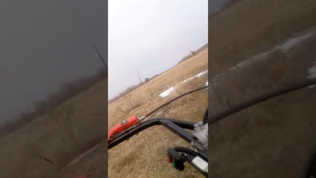 Мотоблок Пахарь ТСР 830-Н смотреть онлайн