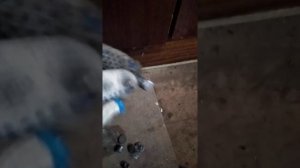 ФОРД ФОКУС...... замена колёсных шпилек форд фокус 2 дорестайлинг