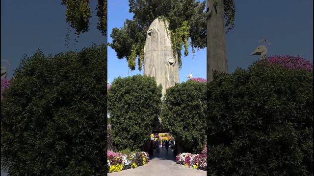 Dubai Miracle Garden - знаменитый цветочный сад в Дубае смотреть онлайн