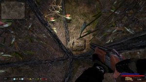 Сталкер. Путь Человека. Дежавю - Outfater ver. Мазь Шершню