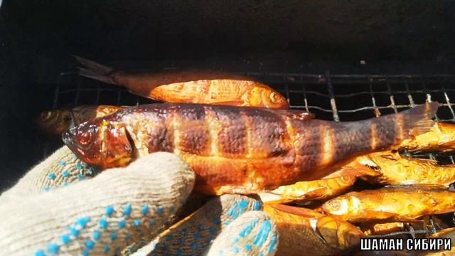 Секреты Творческого Сотворения