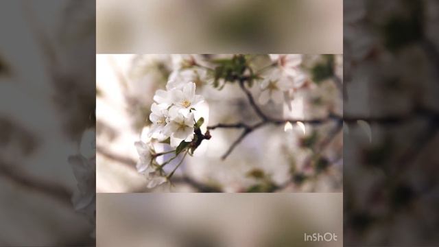 Как лучше распорядиться своей жизнью, чтобы не зря ее прожить? смотреть онлайн