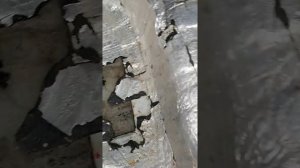 Ниссан Альмера Классик вода в багажнике.