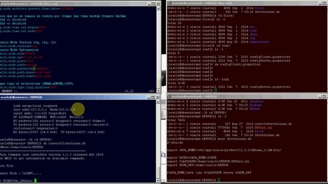 DBSure - Oracle Standby 11g Standby Standard Edition on Linux 6 смотреть онлайн