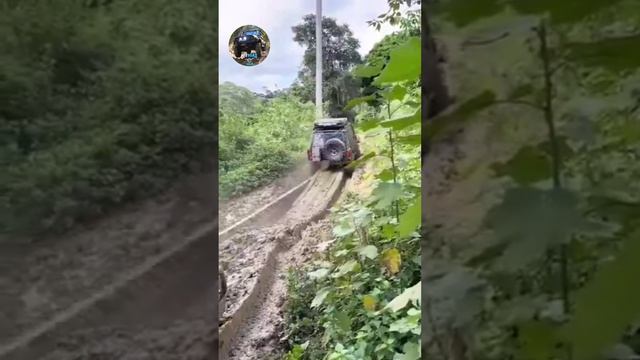 Без отсечки 😁🤙 смотреть онлайн