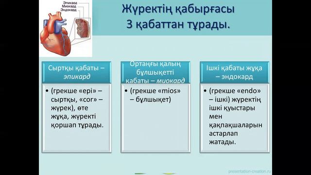 Есік гуманитарлық экономикалық кол.Нуркиясова Э.К.Жүрек құрылысы, қызметі. смотреть онлайн